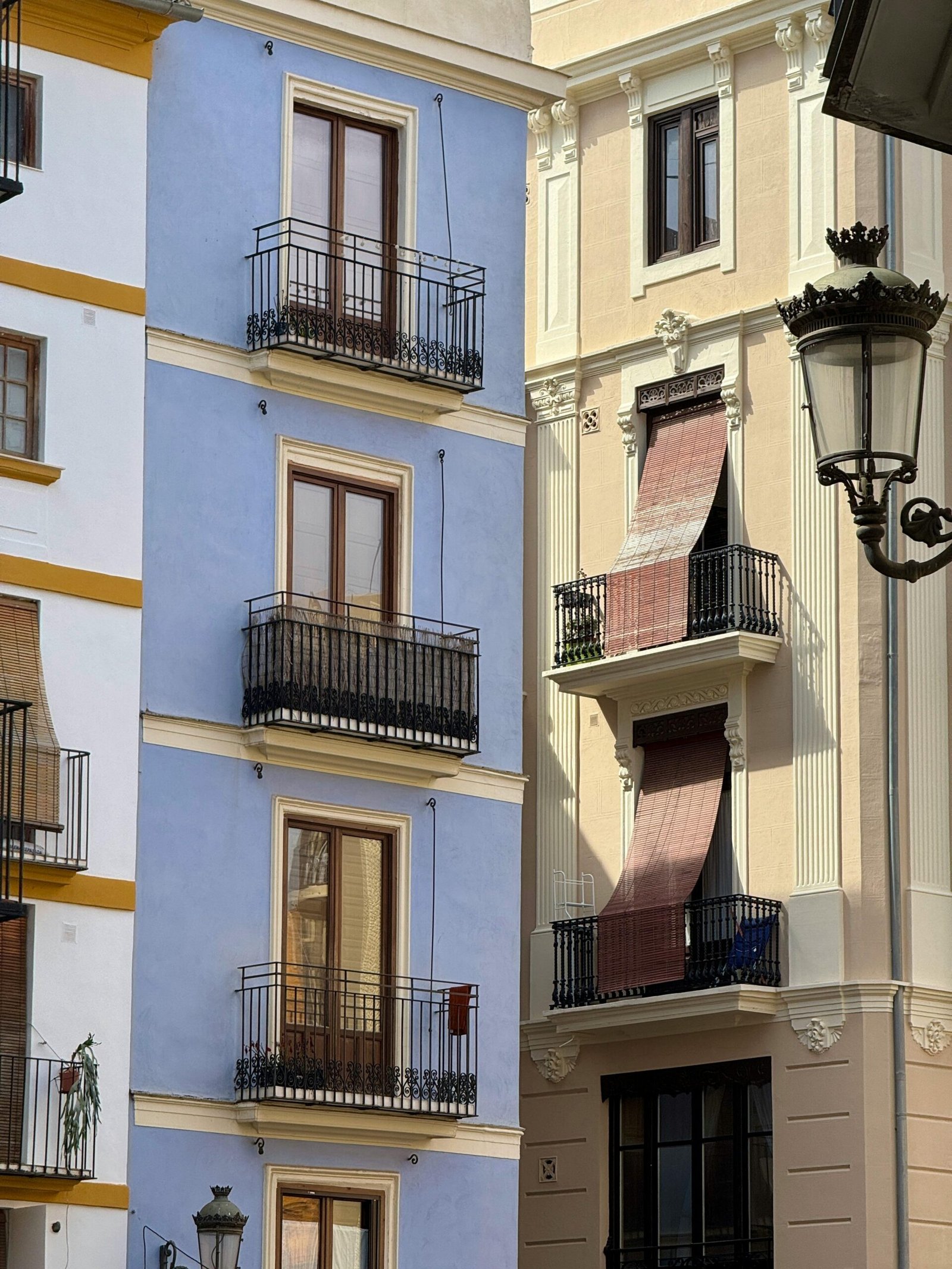 pexels-miguel-rivera-2150485053-31237929 pexels-miguel-rivera-2150485053-31237929